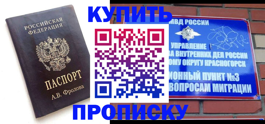 прописка поиск в Заинске